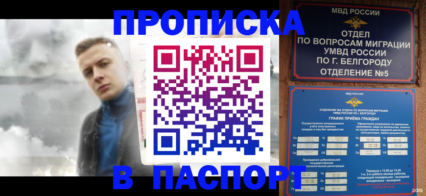 временная регистрация в Новгородской области